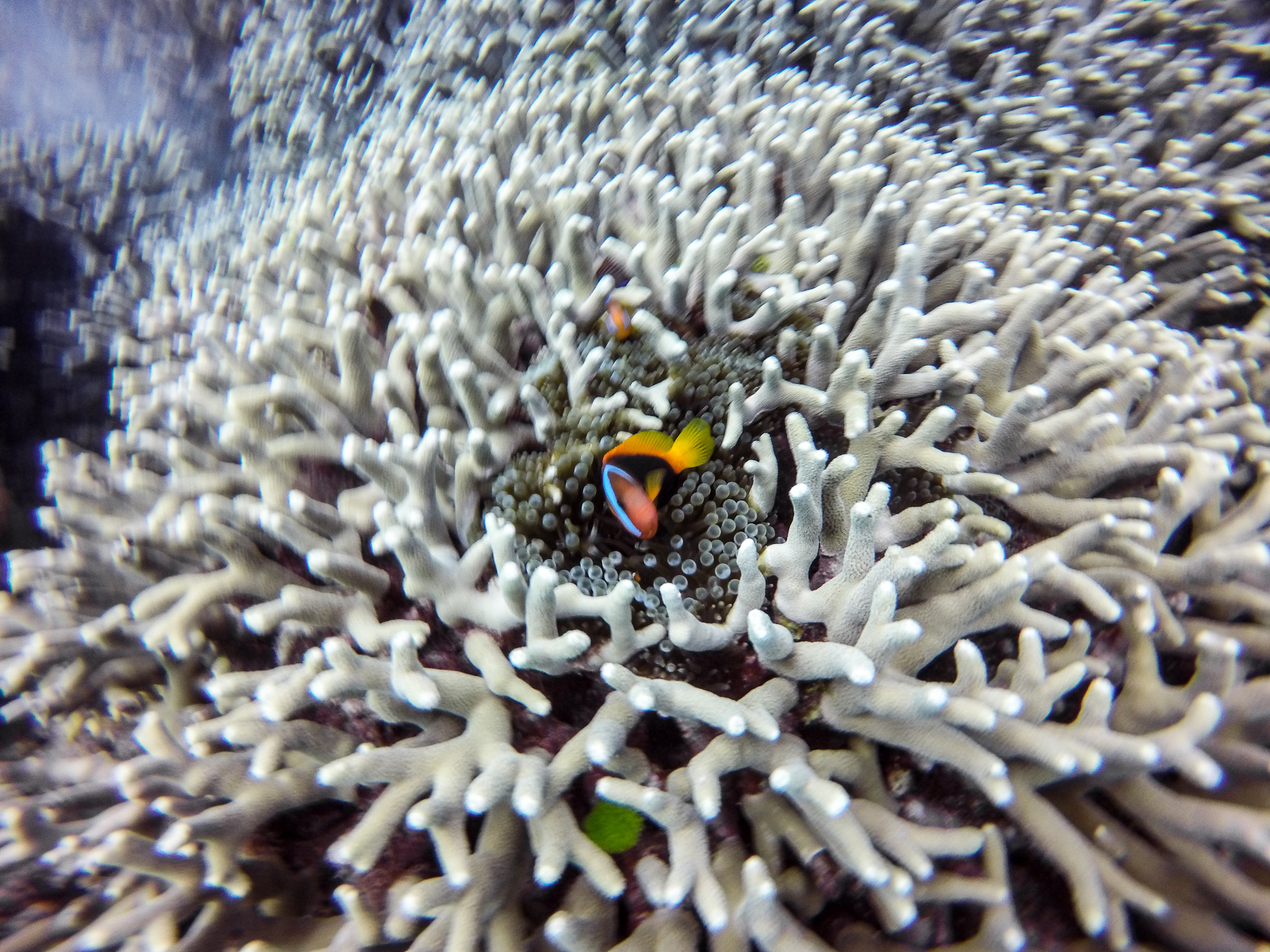 爱游戏体育-:琒壥